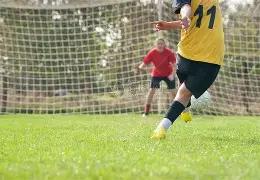 刘学义明确,回应,始终依法纳,MK体育平台,MK体育官方网站,MK体育登录入口,MK体育app下载