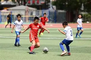 绿军内线,波神离队,霍福德未现,MK体育平台,MK体育官方网站,MK体育登录入口,MK体育app下载