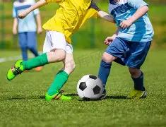 凤凰山共战,亚冠,携手奋进,MK体育平台,MK体育官方网站,MK体育登录入口,MK体育app下载