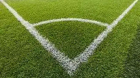 杨幂分享与赵薇携手新剧体验：挑战重重