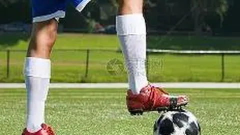 MK体育 产品 115352 vhf