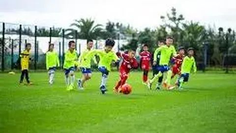 MK体育 产品 115142 oph