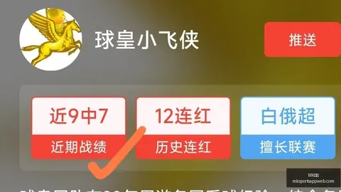 体育 ，MK体育平台，104132 6
