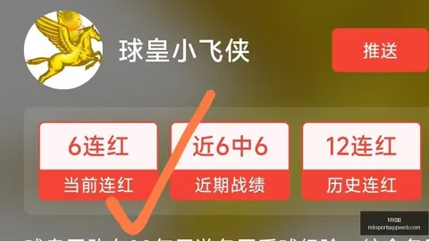 体育 1，MK体育官网，04604 47
